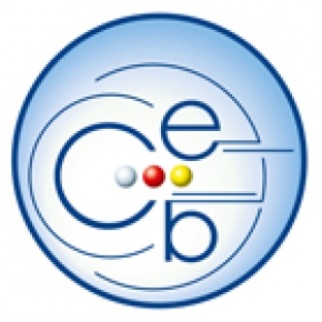 Ceb Logo